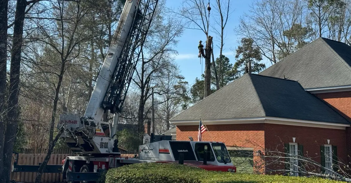 Dixon Trees crew performing a crane-assisted tree removal on a residential property in Lexington, SC