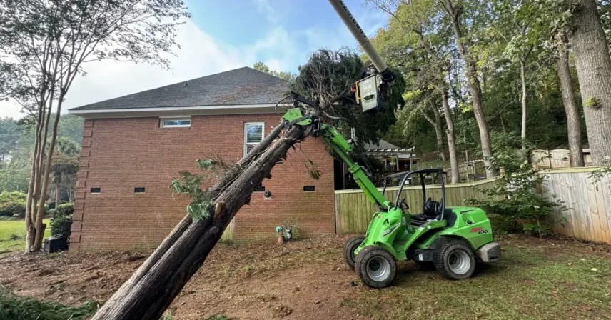 Large tree removal in Lexington, SC on heavy clay soil