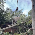 Crew member operating a chainsaw safely on a downed tree after a Midlands thunderstorm
