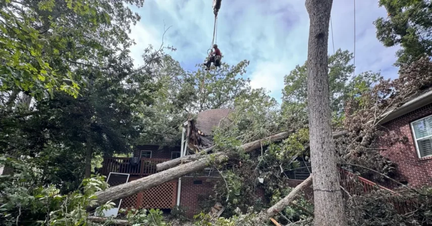 Crew member operating a chainsaw safely on a downed tree after a Midlands thunderstorm