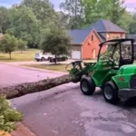 24/7 Emergency Tree Service