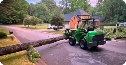 24/7 Emergency Tree Service