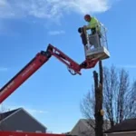 Tree Pruning