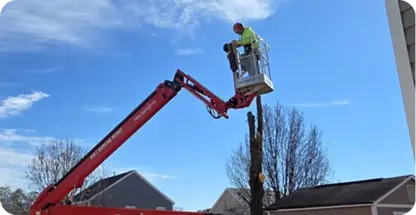 Tree Pruning