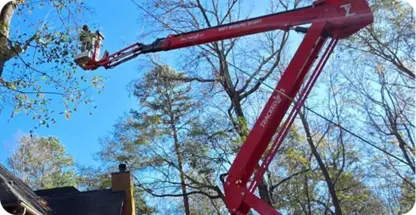 Cabling and Bracing