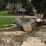 Land Clearing