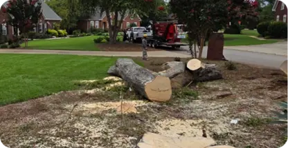 Land Clearing